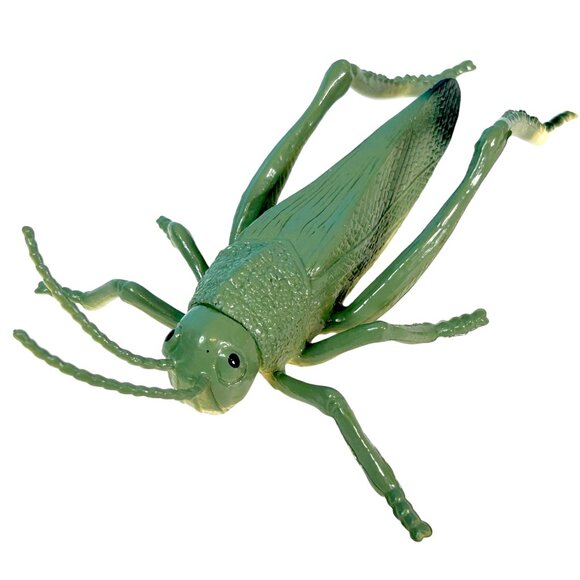 Beautifully Detailed Realistic American Grasshopper Insect Bug PVC Toy Figure‎ - Picture 4 of 6